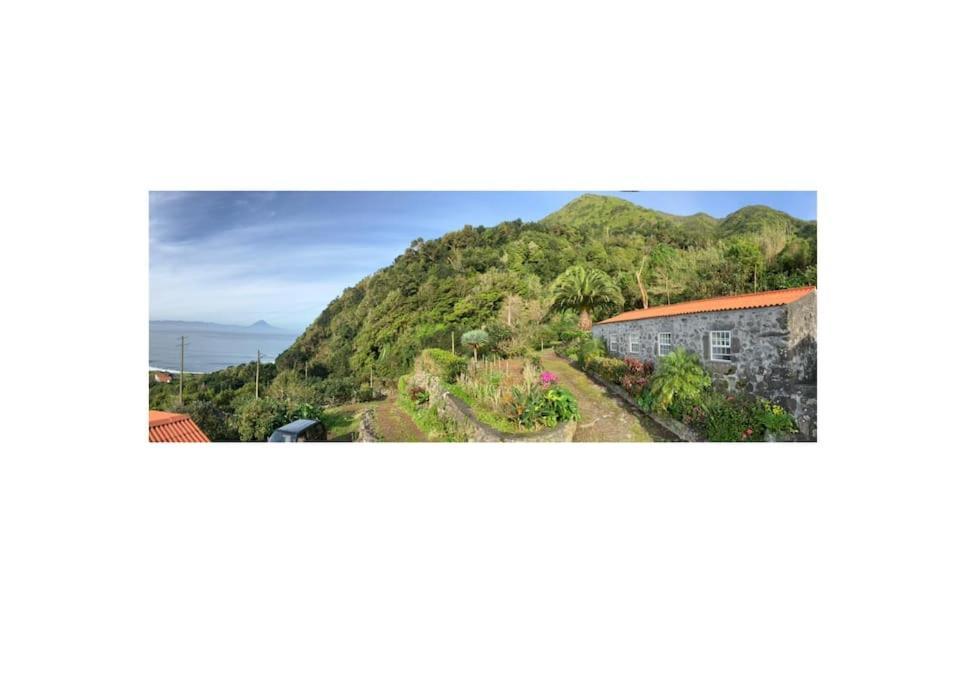 Vistalinda Farmhouse Faja dos Vimes ภายนอก รูปภาพ