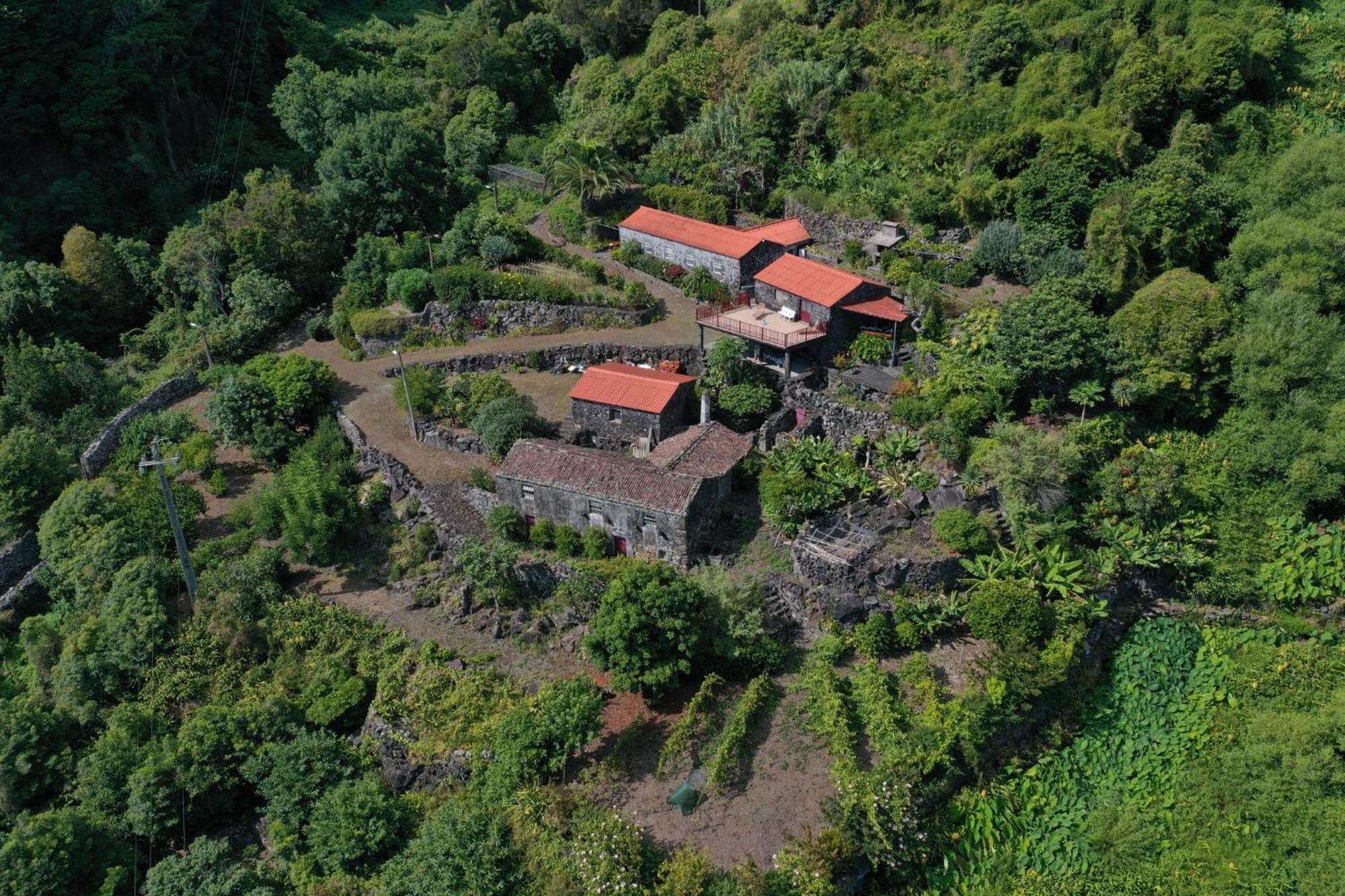 Vistalinda Farmhouse Faja dos Vimes ภายนอก รูปภาพ